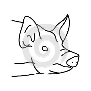 pig animal zoo line icon vector illustration