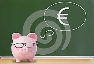 Pig bank and euro