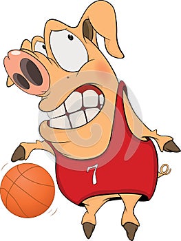 Pig the basketball player cartoon