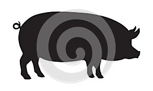 Pig black silhouette. Farm animals symbol