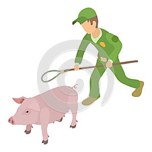 Pig catching icon isometric vector. Man with noose for trapping domestic animal