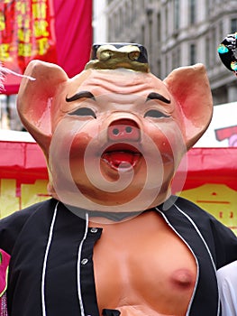 Pig at Chinese New Year