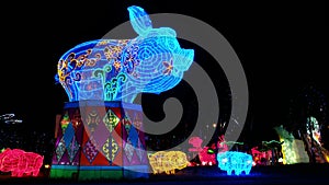 Pig in chinese zodiac animals at lantern festival background