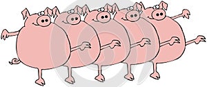 Pig Chorus Line