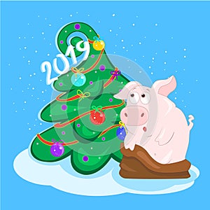 Pig and Christmas tree with balls. Happy new year. Symbol of 2019. Eastern horoscope. Greeting card.