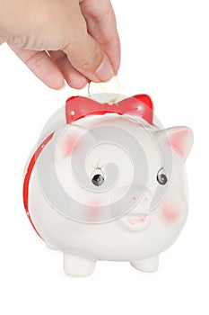 Pig-coin box