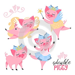 Pig in crown, with wings, fairy piggy, ballerina set