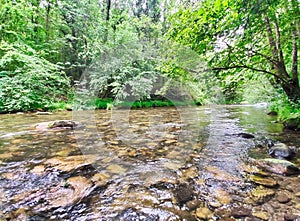PigÃ¼eÃ±a river near Silviella village, Belmonte de MIranda, Asturias, Spain photo