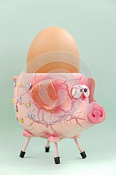 Pig Egg