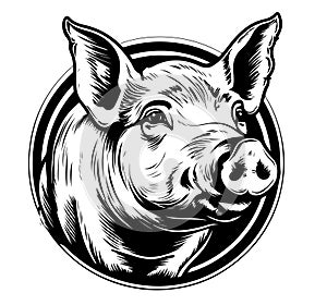 Pig face hand drawn sketch Vector illustration Farm animals