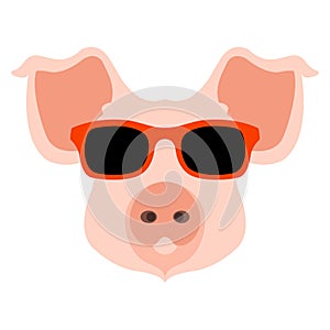 Pig face head glasses vector illustration style