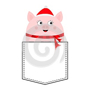 Pig face head in the pocket. Piggy piglet character. Cute cartoon animals. Dash line. Santa hat, scarf. White and black color. T-