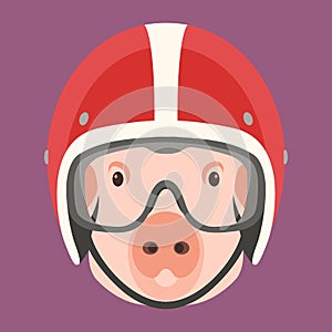 Pig face in helmet vector illustration flat style front