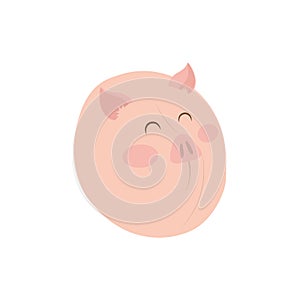 Pig farm animal