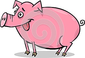 Pig farm animal cartoon illustration