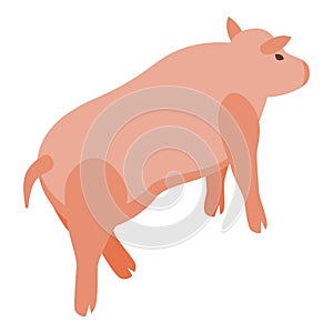 Pig farm animal icon isometric vector. Country farmer