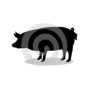 Pig farm mammal black silhouette animal