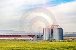 Pig farm with metal silo on green field