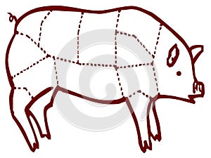 Pig with flesh cuts, ready for butcher shop