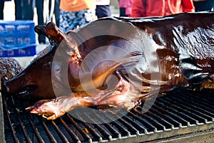 Pig on a grill