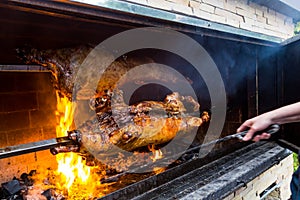 Pig on a grill. traditional coal and fire