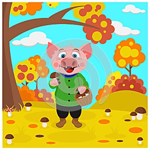 The pig harvests mushrooms in the forest. Vector illustration