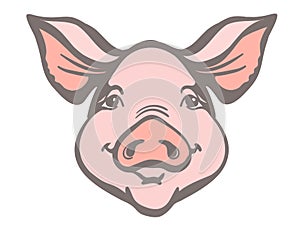 Pig head Farm animal. Vector pink graphic illustration pig face isolated on white