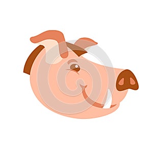 Pig head vector illustration style Flat