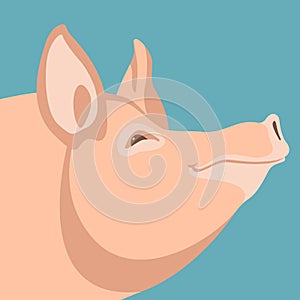 Pig head vector illustration style flat