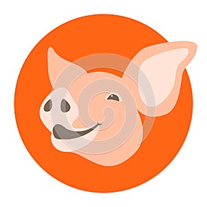 Pig head vector illustration style flat