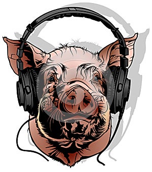 Pig with Headphones on his Head
