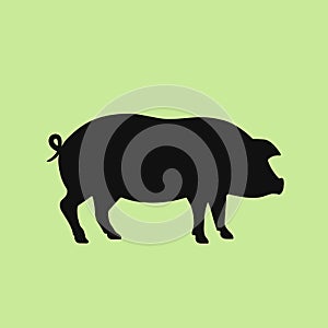 Pig icon