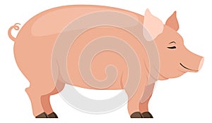Pig icon. Cute livestock animal. Farm symbol
