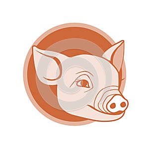 Pig icon design