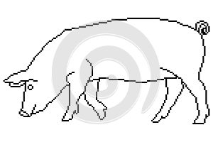 A pig icon,pixel art.Concept ,web design for print.