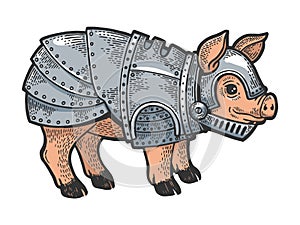 Pig in knight armor sketch engraving vector