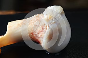 Pig leg bone show the cartilage joint.