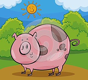 Pig livestock animal cartoon illustration