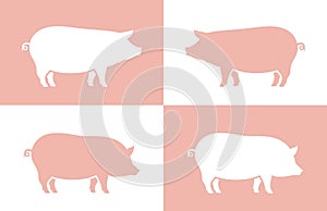 Pig logo. Isolated pig on white background