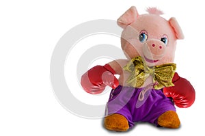 Soft toy pig on a white background