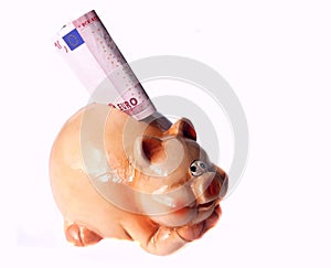 Pig money-box