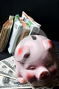 pig money box with cash, bills dollar, euro, savings, storage, wealth. BIg profit