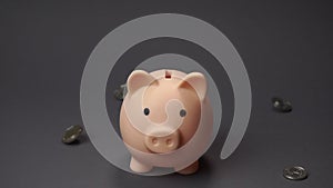 Pig money box at grey background