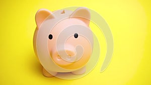 Pig money box at yellow background