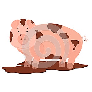Pig in mud
