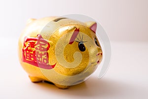 The pig piggy bank