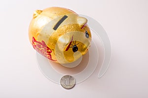 The pig piggy bank