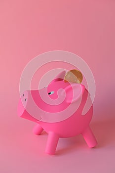 Pig piggy bank and bitcoin.Savings in bitcoins. gold bitcoin coin into pink pig piggy bank on pink background