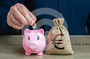 Pig piggy bank and euro money bag. Savings management.