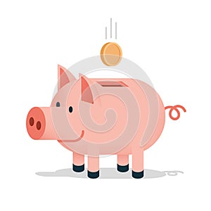 Pig piggy bank with a falling coin